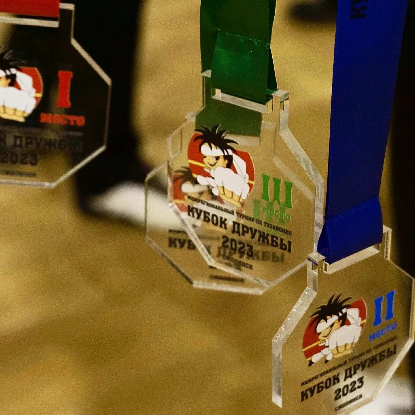 17-й межрегиональный турнир по таэквондо “Кубок Дружбы – 2023” собрал более 600 участников.