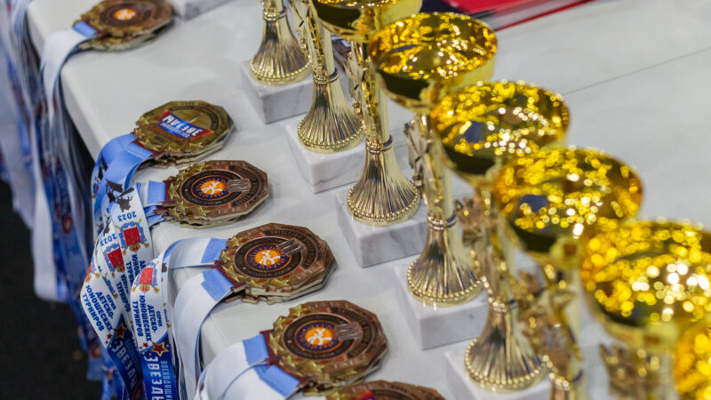 Медаль турнира по греко-римской борьбе «Восходящие звёзды».