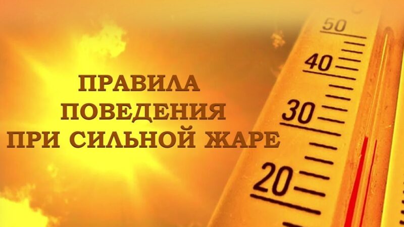 Рекомендации спасателей во время жары