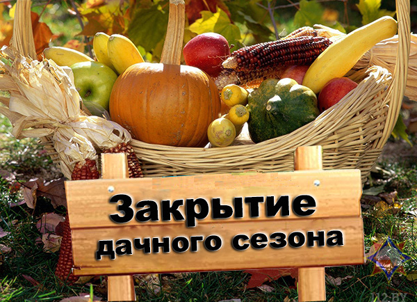 Закрываем дачный сезон